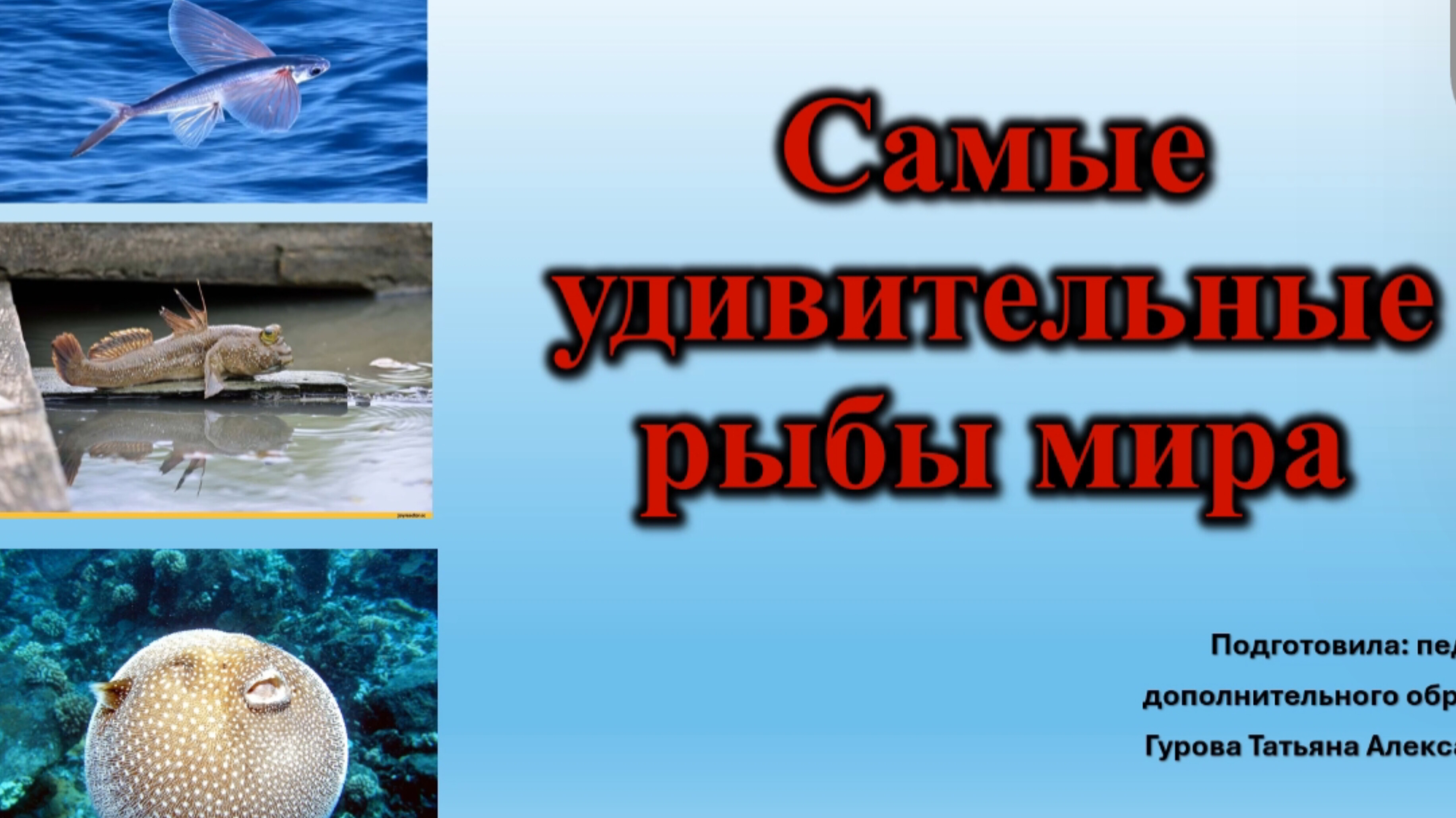 Видеоурок на тему: