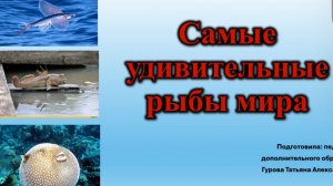 Видеоурок на тему:» Самые удивительные рыбы мира».