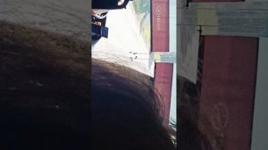 1000098065.mp4