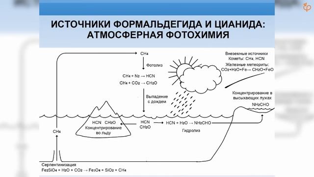 Мир РНК. Михаил Никитин