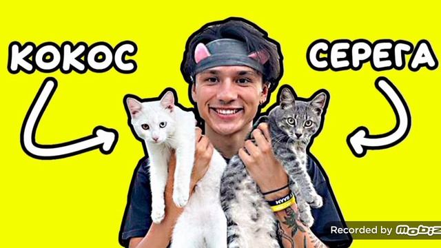 10000ер