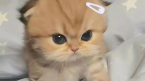 скоро юбилей