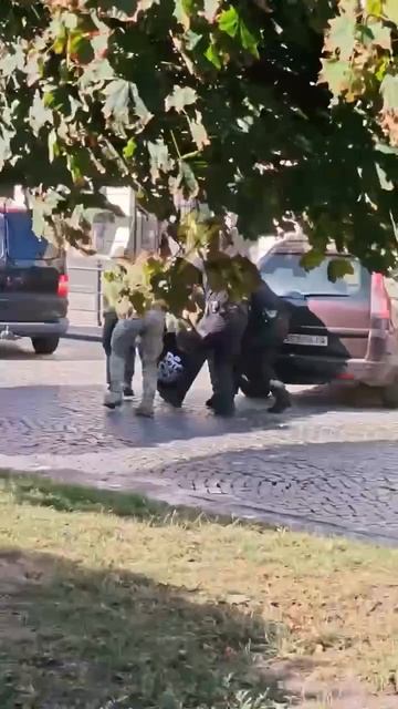 Добровольная мобилизация Зеленского. Может, и было уже. Или что-то похожее.