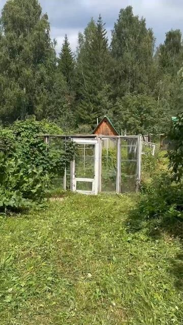 Участок в СНТ