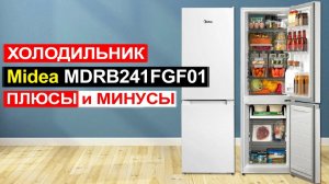 Холодильник Midea MDRB241FGF01, 174 л Обзор. Плюсы и минусы