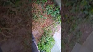 показываю свой караш