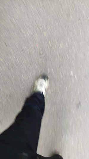 идём за ростиком
