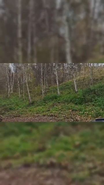 Отдых от стресса и проблем