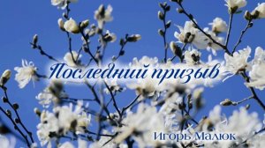 Последний призыв | христианская песня | Игорь Малюк
