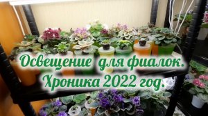 Освещение на моих стеллажах для фиалок. Хроника 2022 год.