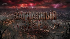 Загнанный зверь