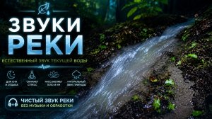 Звуки текущей реки 🌿💧 Чистый звук воды для сна и отдыха