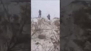 дети провоцируют собак