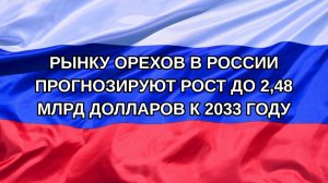 |Н. РФ| Рынку орехов в России прогнозируют рост до 2,48 млрд долларов к 2033 году