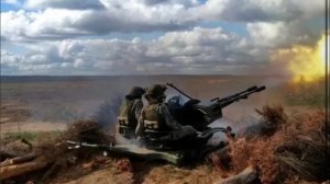 Известная певица сопредельного государства выступила против президента коллеги поддержали