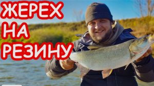 Вот это удар!!! Ловля щуки и жереха на джиг осенью.