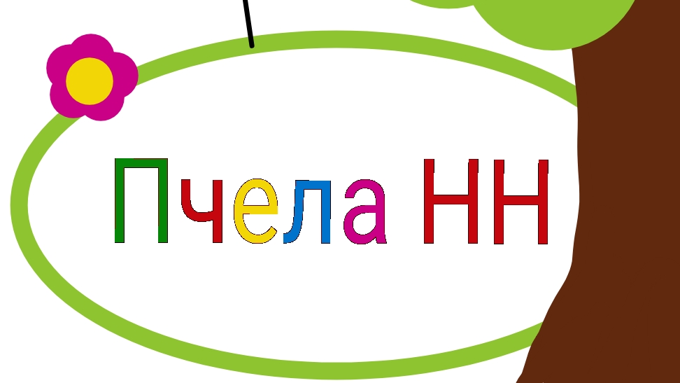 Снова попугаи!