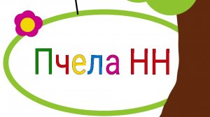 Снова попугаи!