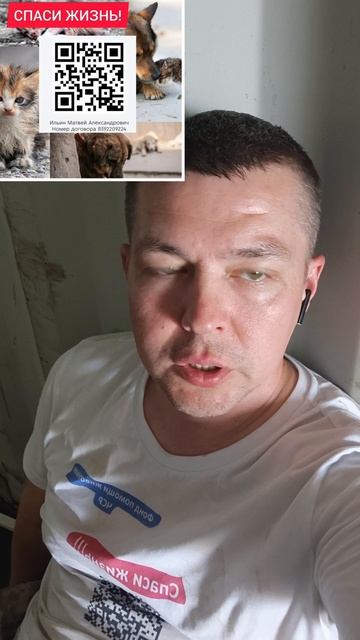 #чср #помощьживотным #сборденег