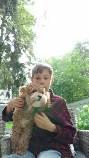 моя собака 🐕🦺
