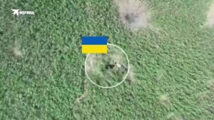 Десантники ВС РФ остановили в камышовом поле группу украинской пехоты