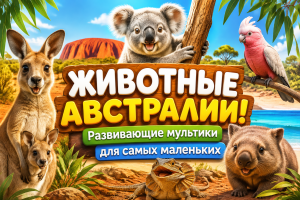 Животные Австралии — развивающий мультфильм для малышей