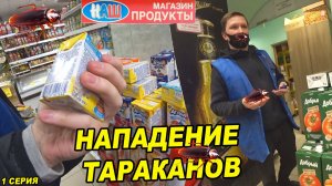 НАПАДЕНИЕ ТАРАКАНОВ / ВЫЗВАЛИ ПОЛИЦИЮ / БЕСПРЕДЕЛ В МАГАЗИНЕ
