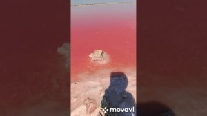 Розовые озера Сасык-Сиваш