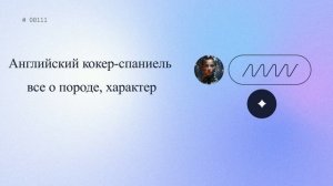 Английский кокер-спаниель : все о породе, характер