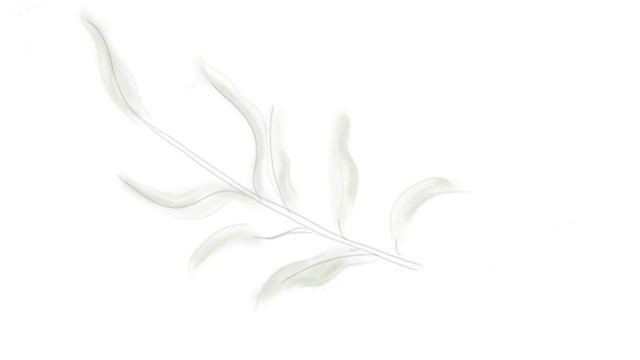 Как нарисовать оливковую ветку в HiPaint на Xiaomi Pad 7 | Туториал