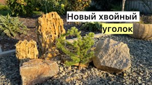 Рабочий влог! Новые посадки!