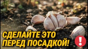 Никогда не сажайте ОЗИМЫЙ ЧЕСНОК Осенью, пока не узнаете ЭТО!