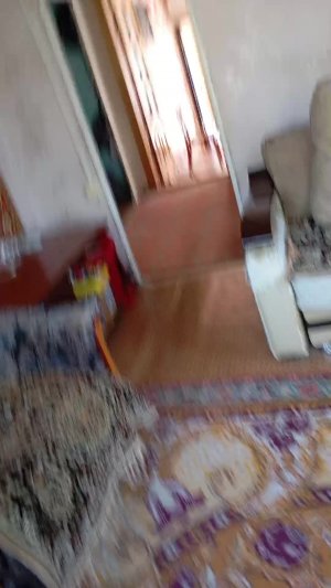 влог