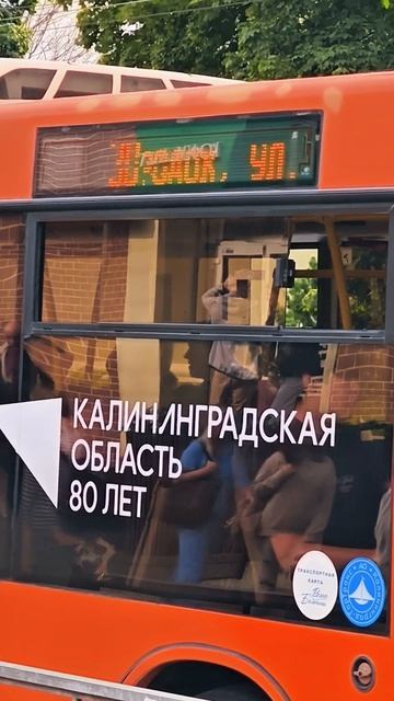 Музыка Калининграда