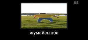 тренируемся на велике (последний стрим)