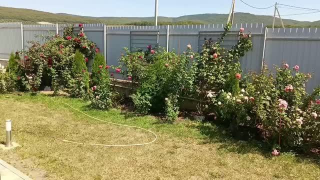 Пивная вечеринка Бассейн  Мебель Немного о нашей жизни