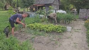 Хуторской огород и лес может прокормить Первые грибы Оставил хутор и улетел Что ждало в Москве