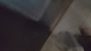 отвозим жуков 🪲🪲 из яблока и на полу