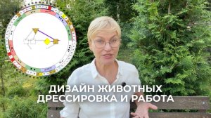 Дизайн животных группа Альфа: дрессировка и работа.