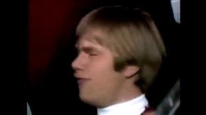 The Castaways - Liar Liar (1965)