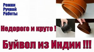 Буйвол из Индии !!!