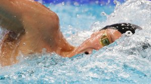 Сборная России по плаванию завоевала бронзу чемпионата Европы