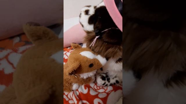 1 СЕРИЯ Я ЖИВА НО БЕСМЫСЛННА
