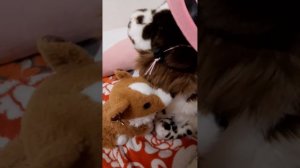 1 СЕРИЯ Я ЖИВА НО БЕСМЫСЛННА