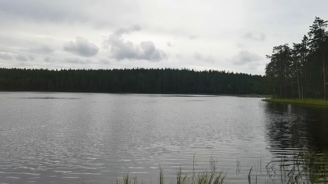 Небольшое лесное Смолянское озеро, с удивительно прозрачной водой на Карельском перешейке.