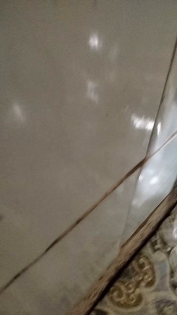 плов я вижу муху угар
