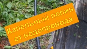 Капельный полив от водопровода. Некоторые нюансы.