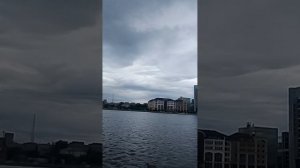 показываю гусят
