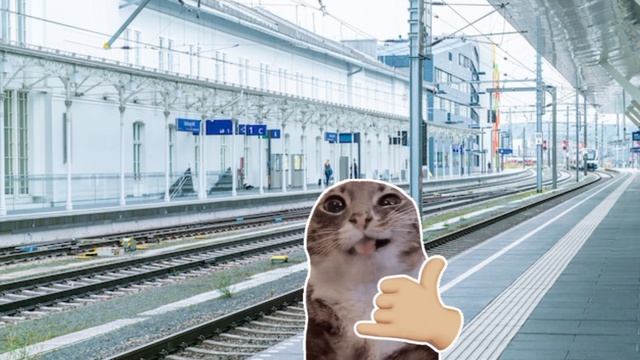 Котик на станции