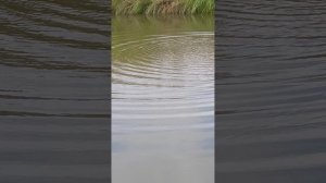 Мы на рыбалке